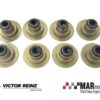 CVH 1.3 | 1.6 | XR3 | RS Turbo | VICTOR REINZ Valve Stem Seal Set 2 12 31056 01 WEB