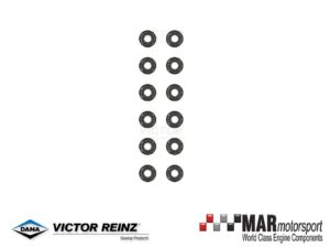 BMW S50B32 | S54B32 | M3 E46 | Z3 | Z4 | REINZ Valve Stem Seal Set 12