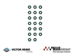 BMW S65 | E90 | E92 | E93 | E60 | M3 | REINZ Valve Stem Seal Set