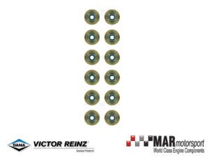 BMW S55B30 | B58B30 | M3 | M4 | M2 | M140 | REINZ Valve Stem Seal Set Exhaust