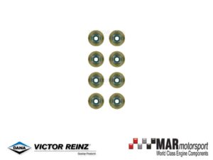 BMW | MINI | B48 | F56 |Cooper | Cooper S | REINZ Exhaust Valve Stem Seal Set