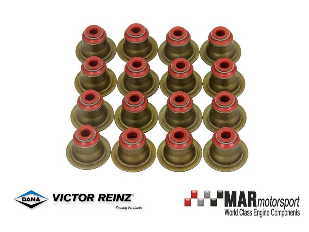 BMW S63B44 M5 M6 X5 X6 REINZ Valve Stem Seal Set MAR Motorsport