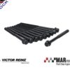 CVH 1.3 | 1.6 | XR3 | RS Turbo | VICTOR REINZ Head Bolts 2 14 32013 01 1