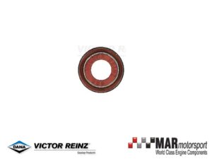 Audi RS3 | TTRS | 2.5 TFSI | CEPA | CTSA | REINZ Exhaust Valve Stem Seal