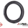 Pinto | RS2000 | YB Cosworth | ELRING Front Crank Seal 2 757.497 WEB