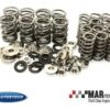 VW 1.8T 20v | SUPERTECH Dual Valve Spring Kit 1 SPRK AUDI18T WEB