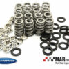 MINI R52 | R53 | Cooper | Cooper S | JCW | SUPERTECH Beehive Valve Spring Kit 1 SPRK HM1007BE MC WEB